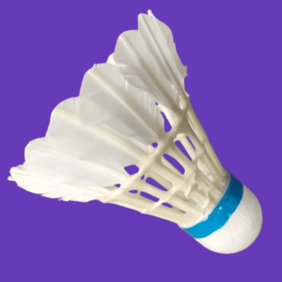 Shuttlecocks